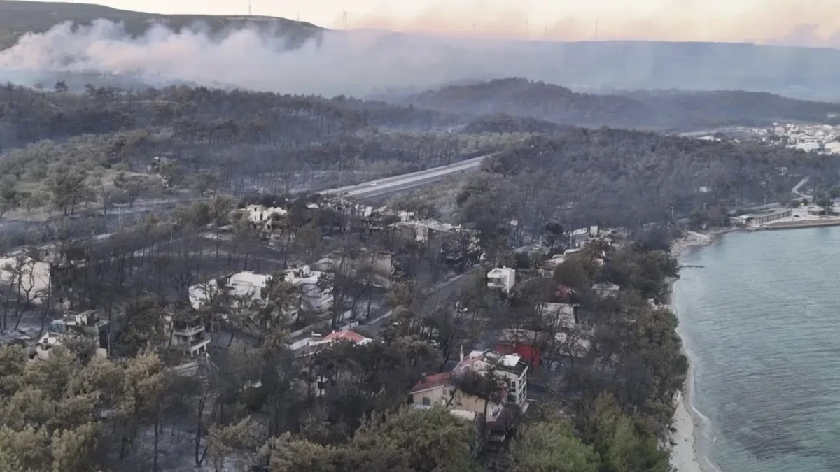 Çanakkale Yangınları, Gerçekler, İhmaller ve Alınması Gereken Dersler